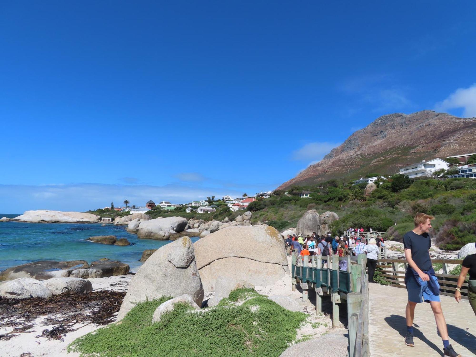 Bonne Esperance, Simon'S Town Apartment Exterior photo
